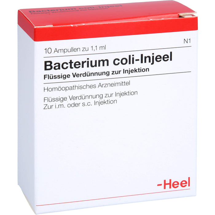 Bacterium coli-Injeel flüssige Verdünnung zur Injektion, 10 pcs. Ampoules