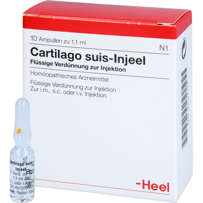 Cartilago suis-Injeel Ampullen, 10 pcs. Ampoules