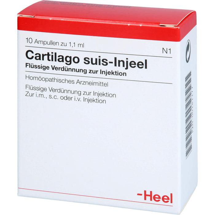 Cartilago suis-Injeel Ampullen, 10 pc Ampoules