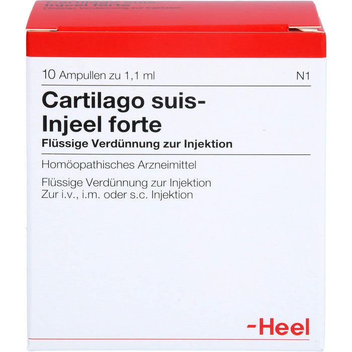 Heel Cartilago suis-Injeel forte flüssige Verdünnung, 10 St. Ampullen