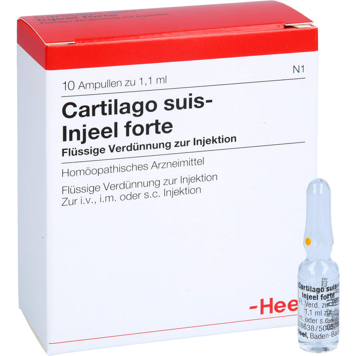 Cartilago suis-Injeel forte Inj.-Lsg., 10 St AMP