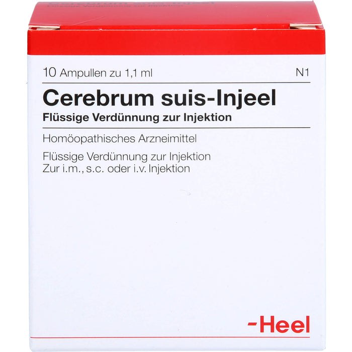 Cerebrum suis-Injeel flüssige Verdünnung, 10 pcs. Ampoules