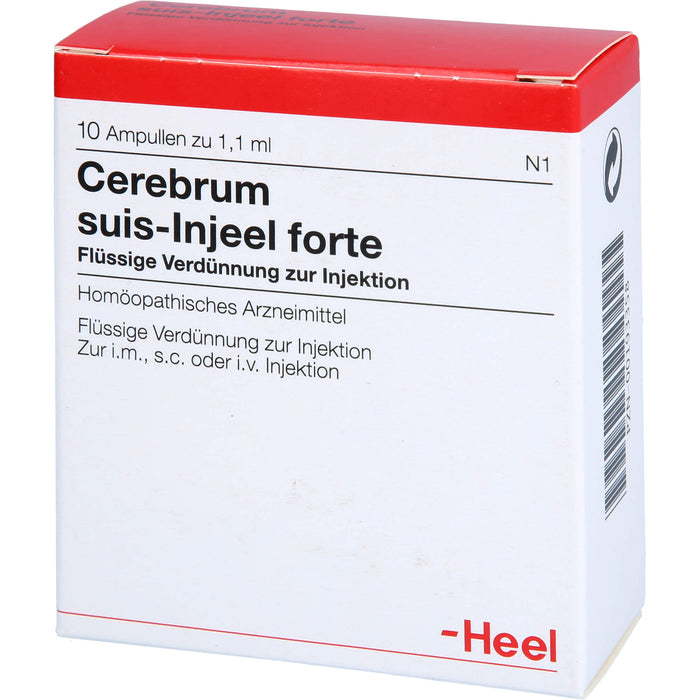 Cerebrum suis-Injeel forte Inj.-Lsg., 10 St AMP