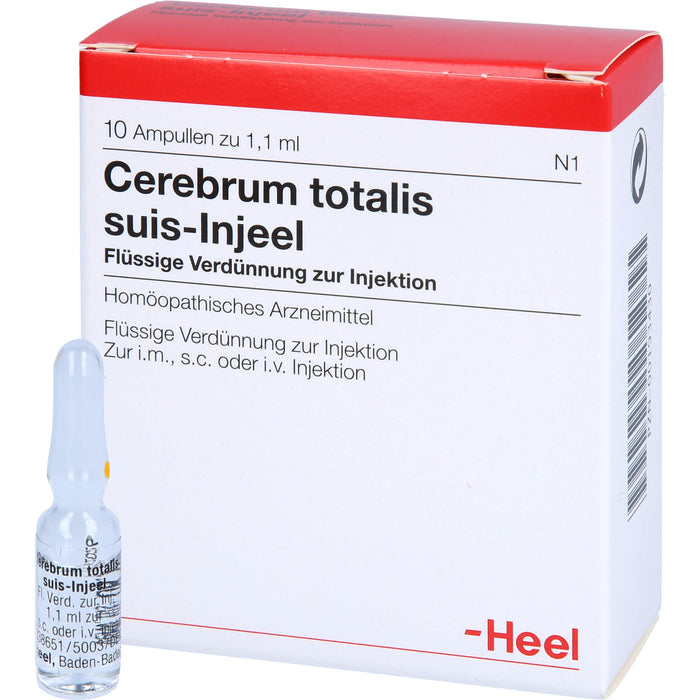 Cerebrum Totalis Suis Injeel flüssige Verdünnung, 10 pc Ampoules