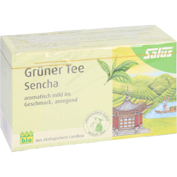 Salus Grüner Tee Sencha, 15 pcs. Filter bag