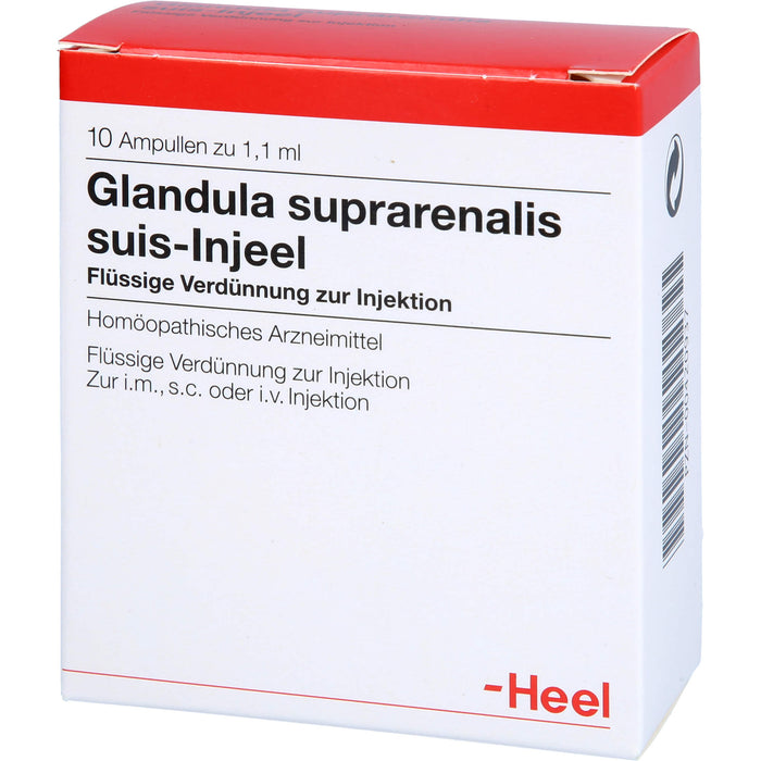 Glandula suprarenalis suis-Injeel Ampullen, 10 pc Ampoules