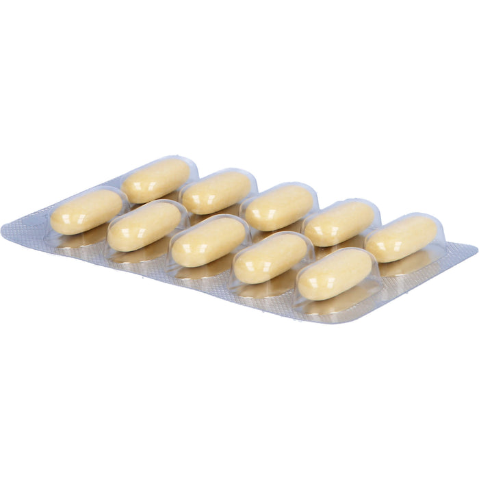 Natu-hepa 600 mg Tabletten bei Verdauungsbeschwerden, 100 pcs. Tablets