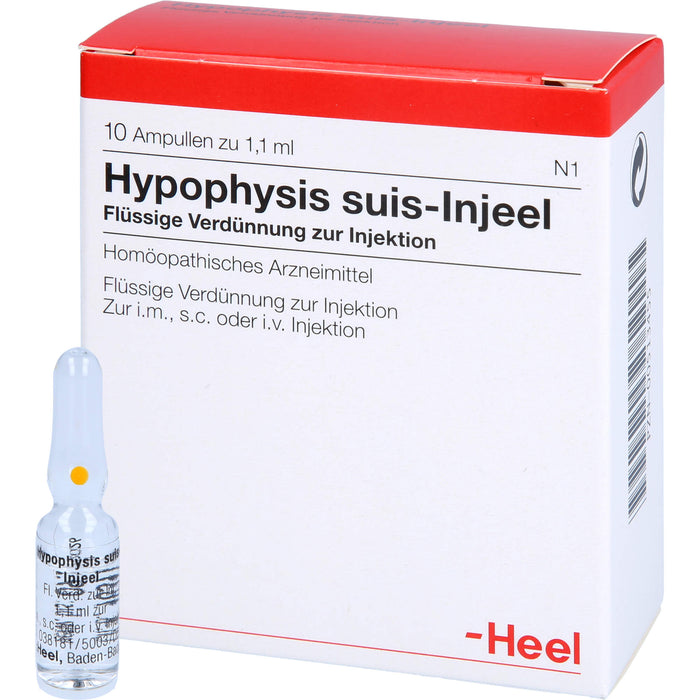 Hypophysis suis-Injeel flüssige Verdünnung, 10 St. Ampullen