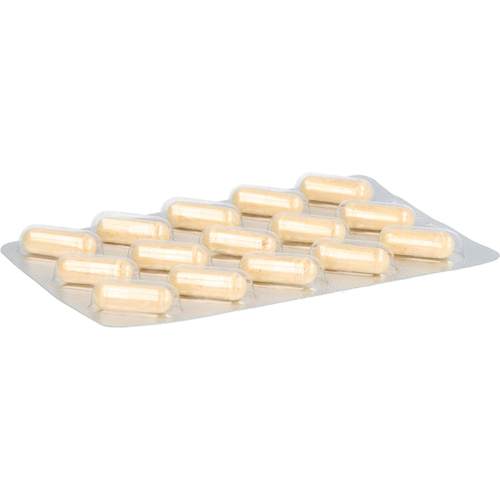 Silymarine Leberschutz-Kapseln, 60 pc Capsules