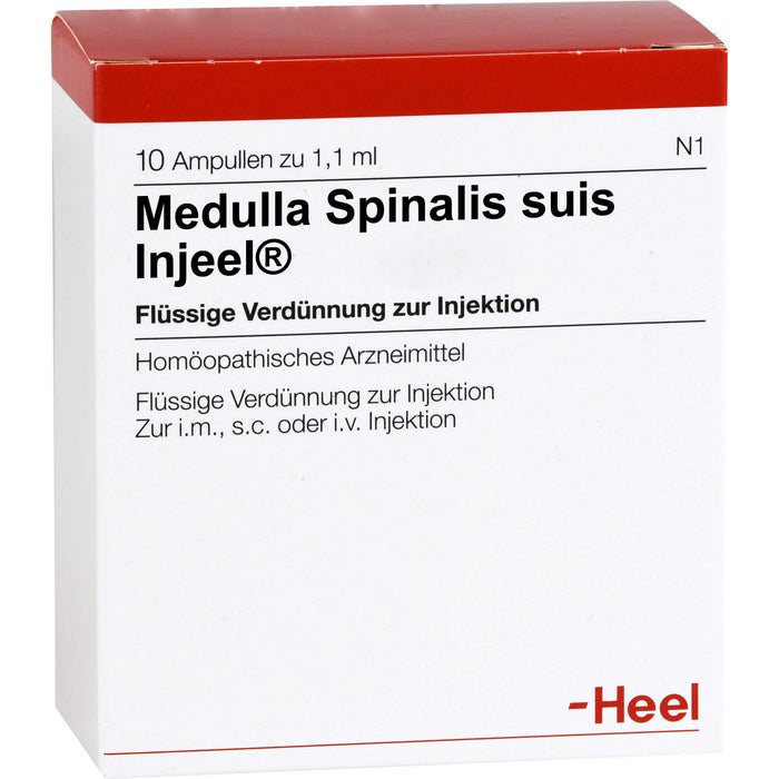 Medulla spinalis suis Injeel flüssige Verdünnung, 10 pcs. Ampoules