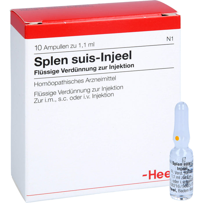 Heel Splen suis-Injeel flüssige Verdünnung, 10 pcs. Ampoules