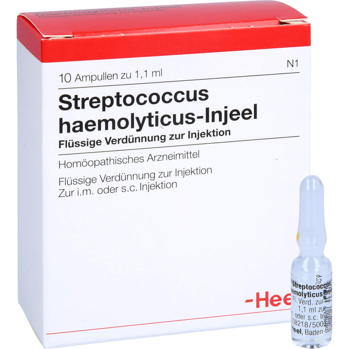 Streptococcus haemolyticus-Injeel flüssige Verdünnung, 10 pc Ampoules