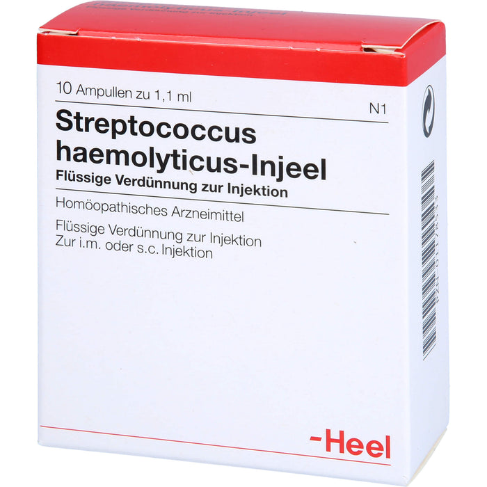 Streptococcus haemolyticus-Injeel flüssige Verdünnung, 10 pcs. Ampoules