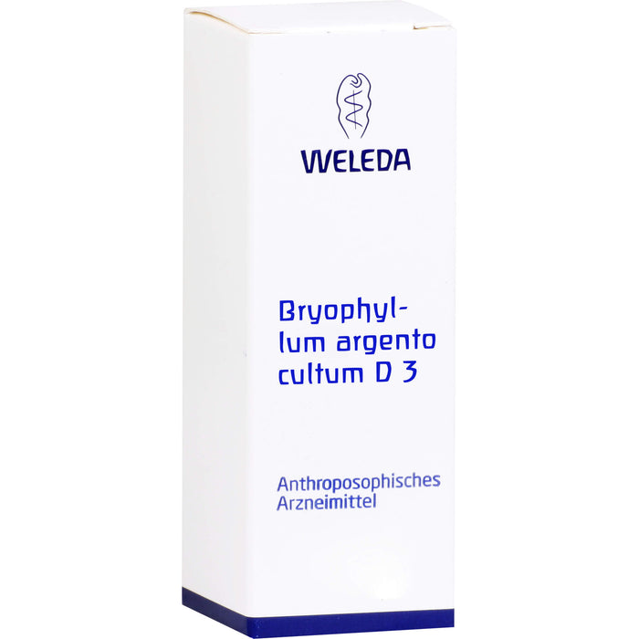 Bryophyllum Argento cultum D3 Weleda Dil., 50 ml Lösung