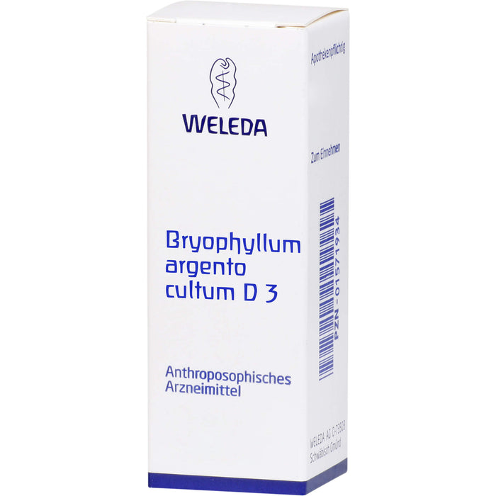 WELEDA Bryophyllum Argento cultum D3 flüssige Verdünnung, 50 ml Solution