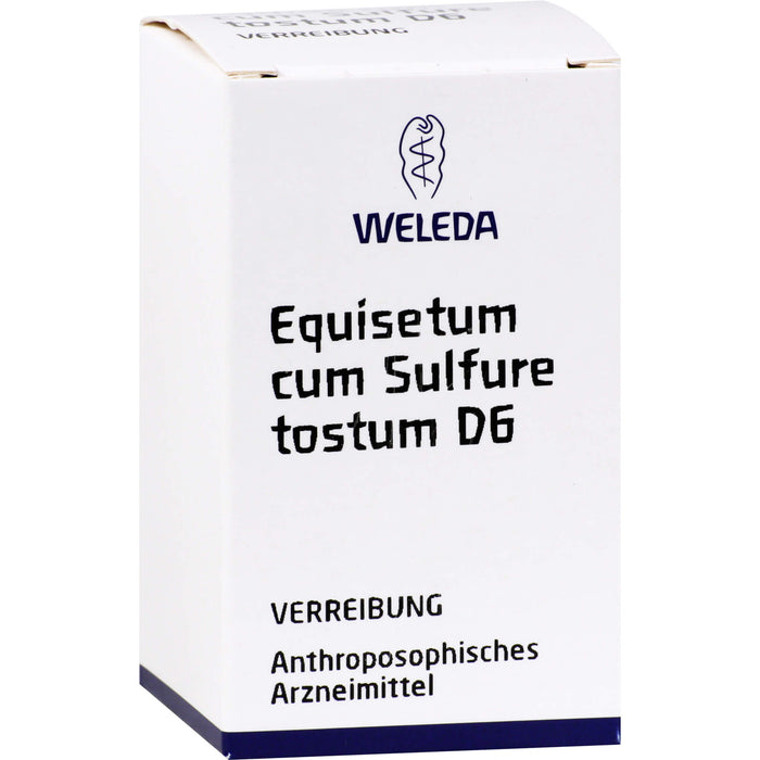 WELEDA Equisetum cum Sulfure tostum D6 Verreibung, 20 g Poudre