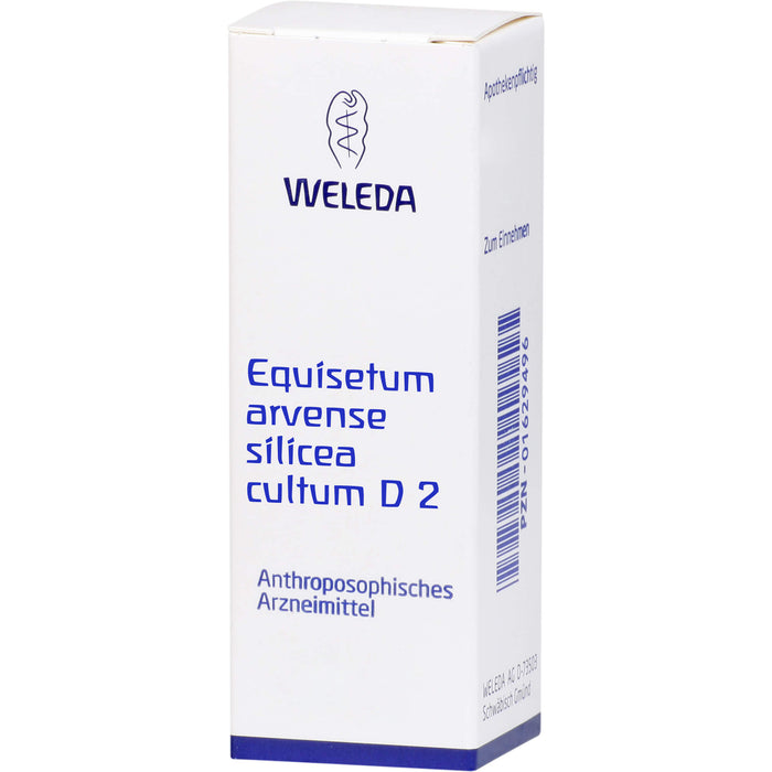 Equisetum arvense Silicea cultum Weleda D2 Dil., 50 ml DIL