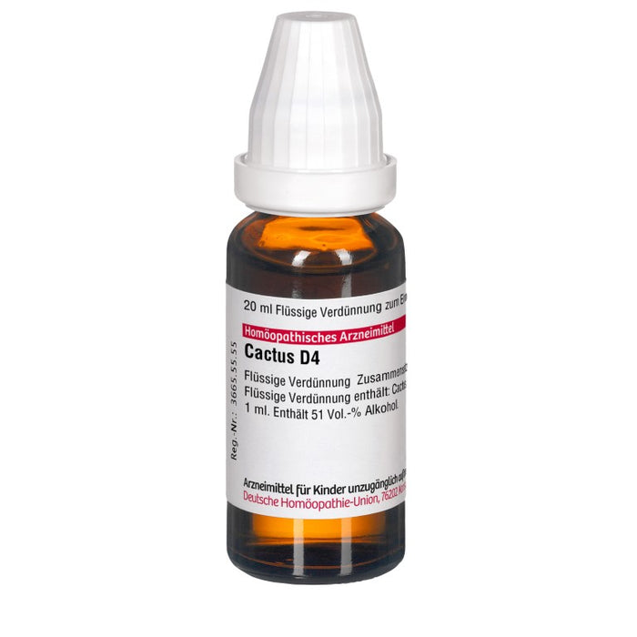 DHU Cactus D4 Dilution, 20 ml Lösung