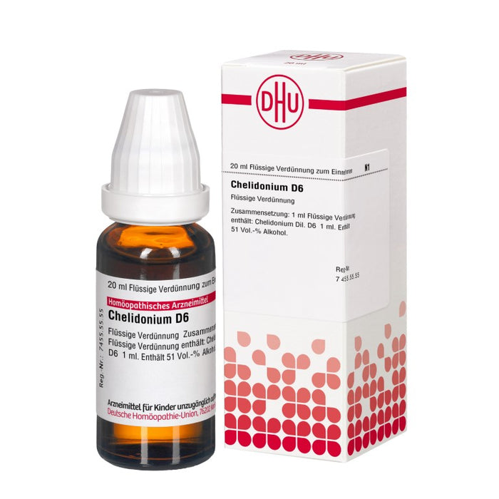 DHU Chelidonium D6 Dilution, 20 ml Lösung