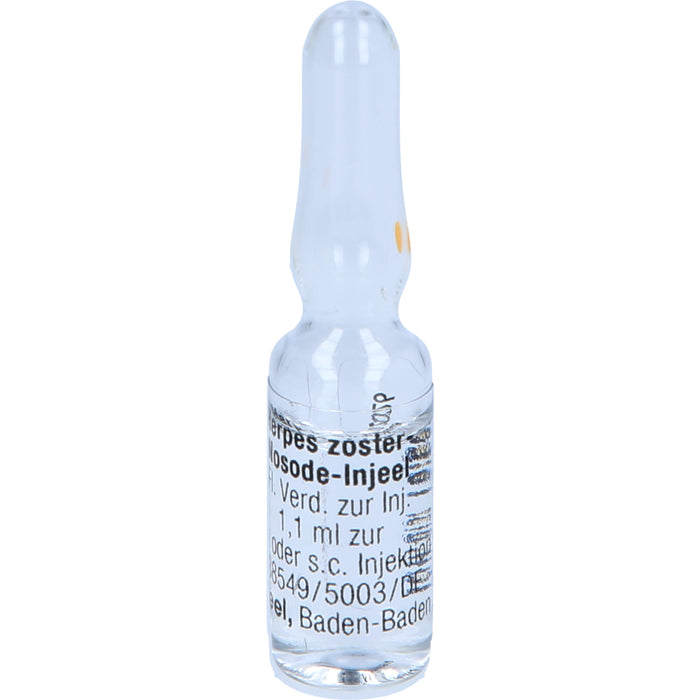 Herpes zoster-Nosode-Injeel Inj.-Lsg., 10 pcs. Ampoules