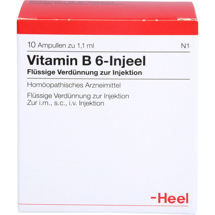 Vitamin B 6 Injeel flüssige Verdünnung, 10 St. Ampullen