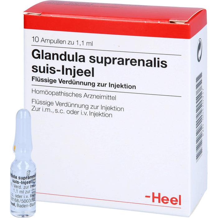 Glandula suprarenalis suis-Injeel Ampullen, 10 pcs. Ampoules