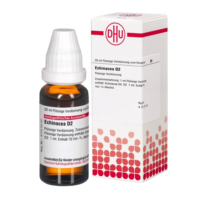 DHU Echinacea D2 Dilution, 20 ml Lösung