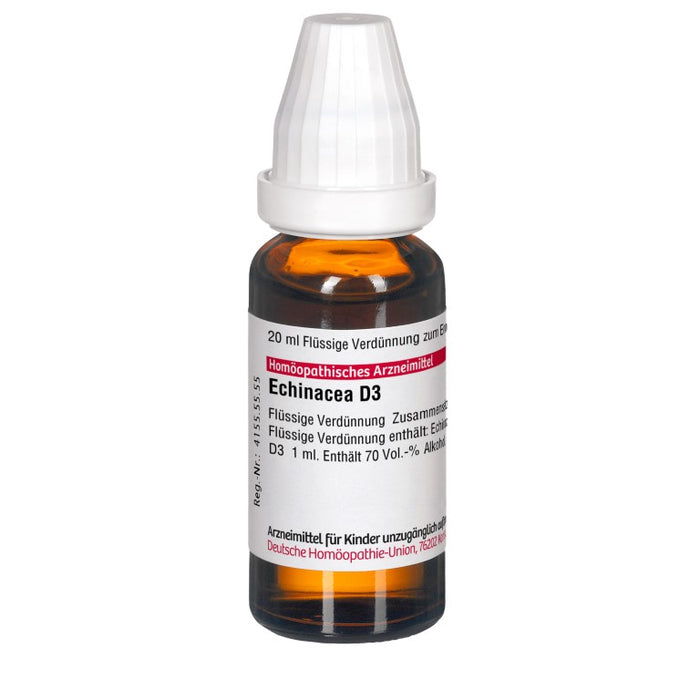 DHU Echinacea D3 Dilution, 20 ml Lösung