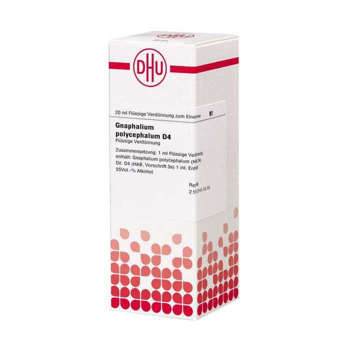 DHU Gnaphalium polycephalum D4 Dilution, 20 ml Lösung