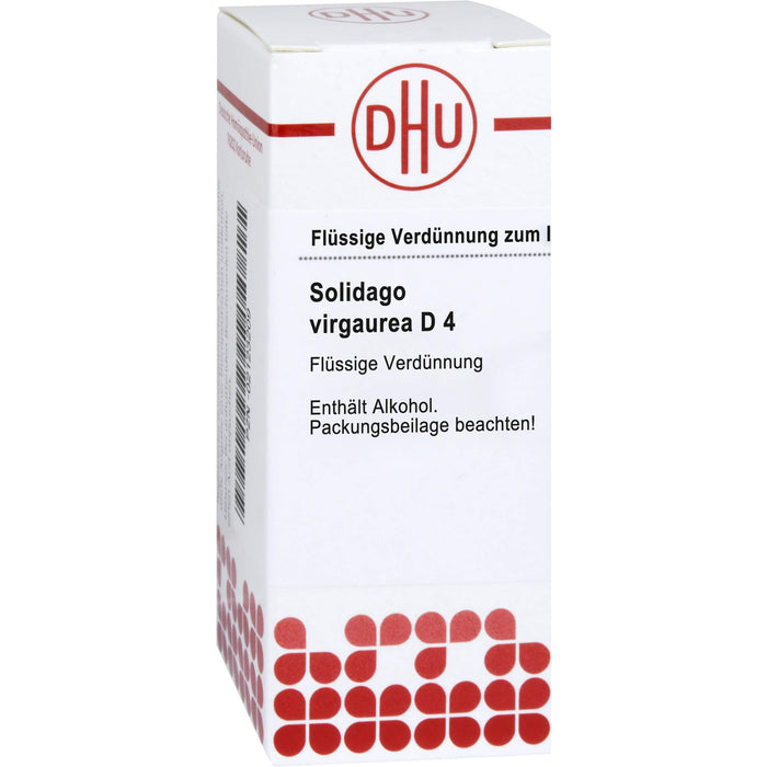 DHU Solidago virgaurea D4 Dilution, 20 ml Lösung