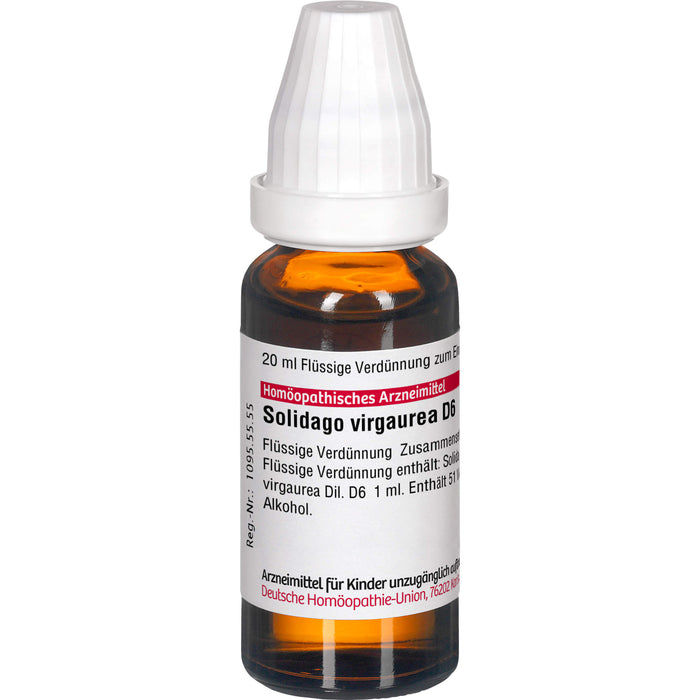 Solidago virgaurea D6 DHU Dilution, 20 ml Lösung