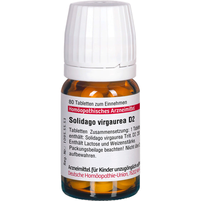 DHU Solidago virgaurea D2 Tabletten, 80 St. Tabletten