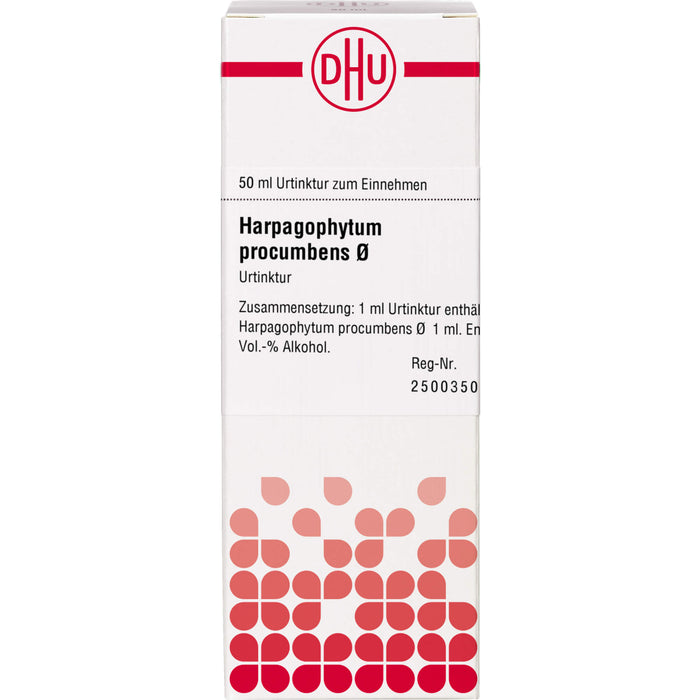 Harpagophytum procumbens Urtinktur D1 DHU, 50 ml Lösung