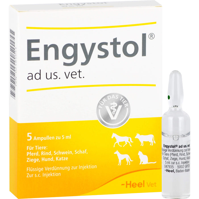 Engystol ad us. vet. Ampullen, 5 pc Ampoules