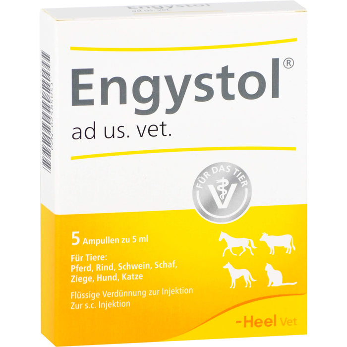 Engystol ad us. vet. Ampullen, 5 pc Ampoules