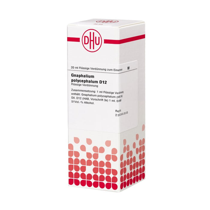 DHU Gnaphalium polycephalum D12 Dilution, 20 ml Lösung