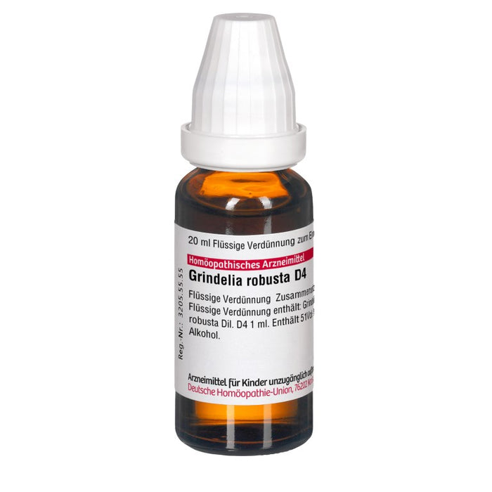 Grindelia robusta D4 DHU Dilution, 20 ml Lösung