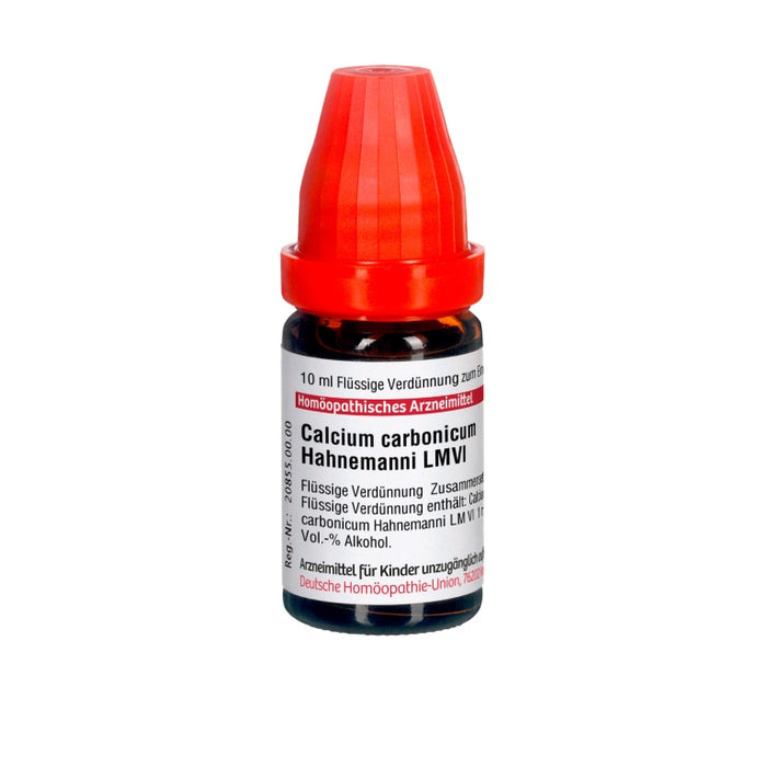 Calcium carbonicum Hahnemanni LM VI DHU Dilution, 10 ml Lösung