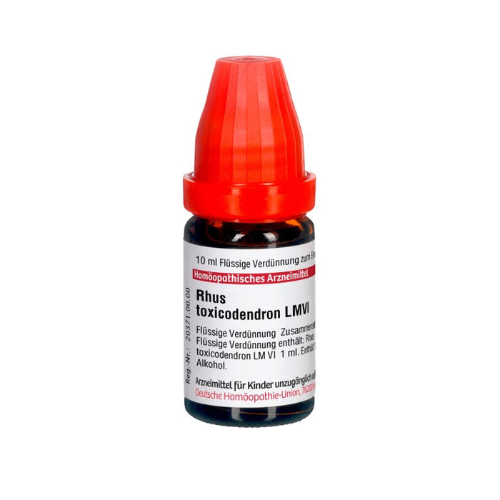 DHU Rhus toxicodendron LM VI Dilution, 10 ml Lösung