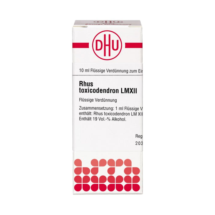 DHU Rhus toxicodendron LM XII Dilution, 10 ml Lösung