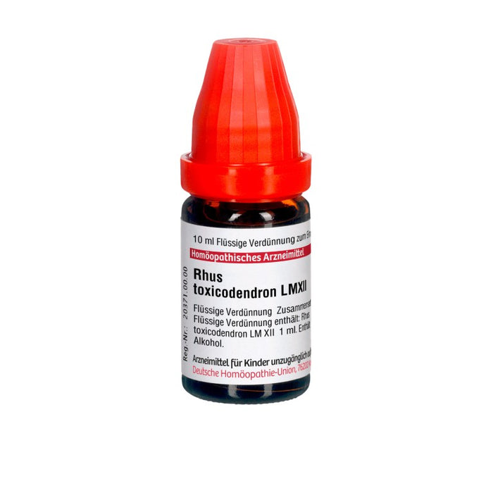 DHU Rhus toxicodendron LM XII Dilution, 10 ml Lösung