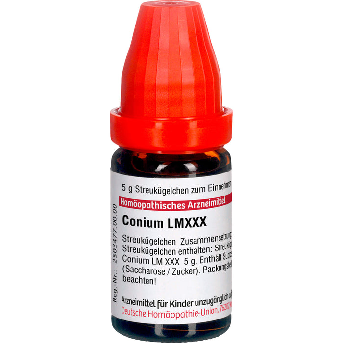 Conium LM XXX DHU Globuli, 5 g Globuli