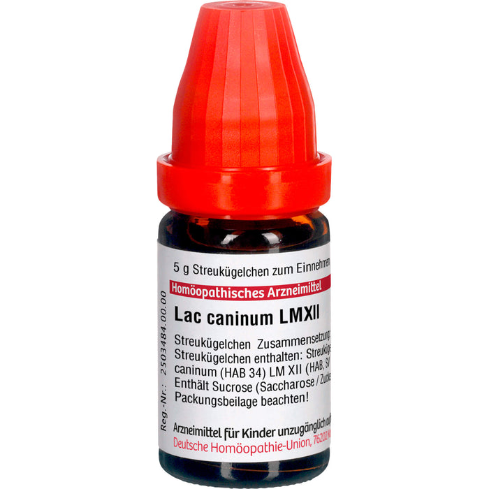 DHU Lac caninum LM XII Streukügelchen, 5 g Globules