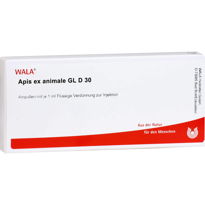 Apis ex animale Gl D30 Wala Ampullen, 10X1 ml AMP