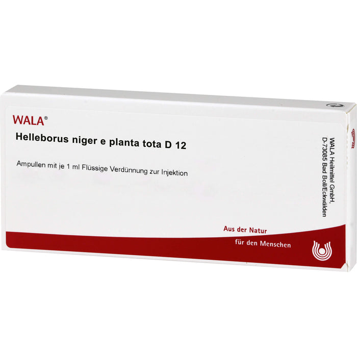 Helleborus niger e planta tota D12 Wala Ampullen, 10X1 ml AMP