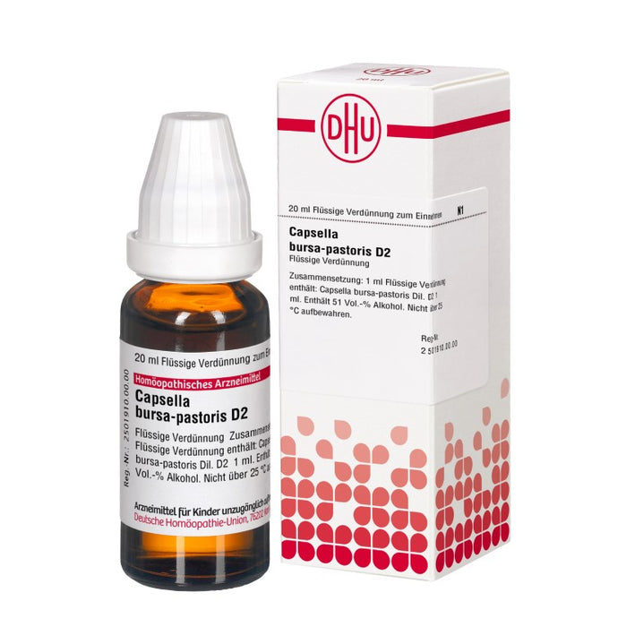 DHU Capsella bursa-pastoris D2 Dilution, 20 ml Lösung