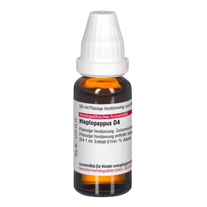 DHU Haplopappus D4 Dilution, 20 ml Lösung