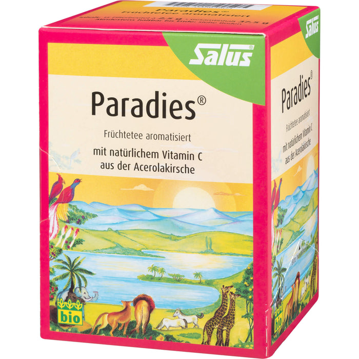 Salus Paradies Vitamin C Früchtetee, 15 St. Filterbeutel