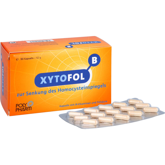 XYTOFOL B Kapseln zur Senkung des Homocysteinspiegels, 90 pcs. Capsules