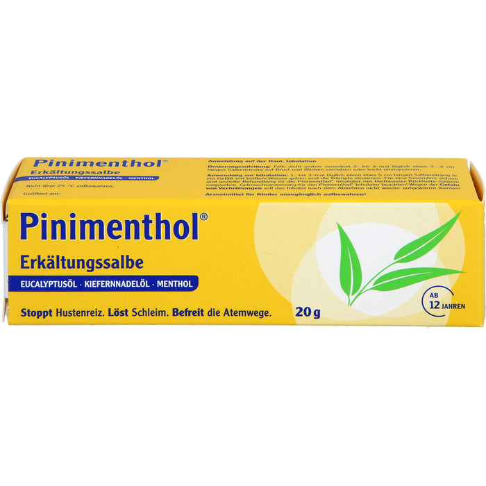 Pinimenthol Erkältungssalbe, 20 g Crème